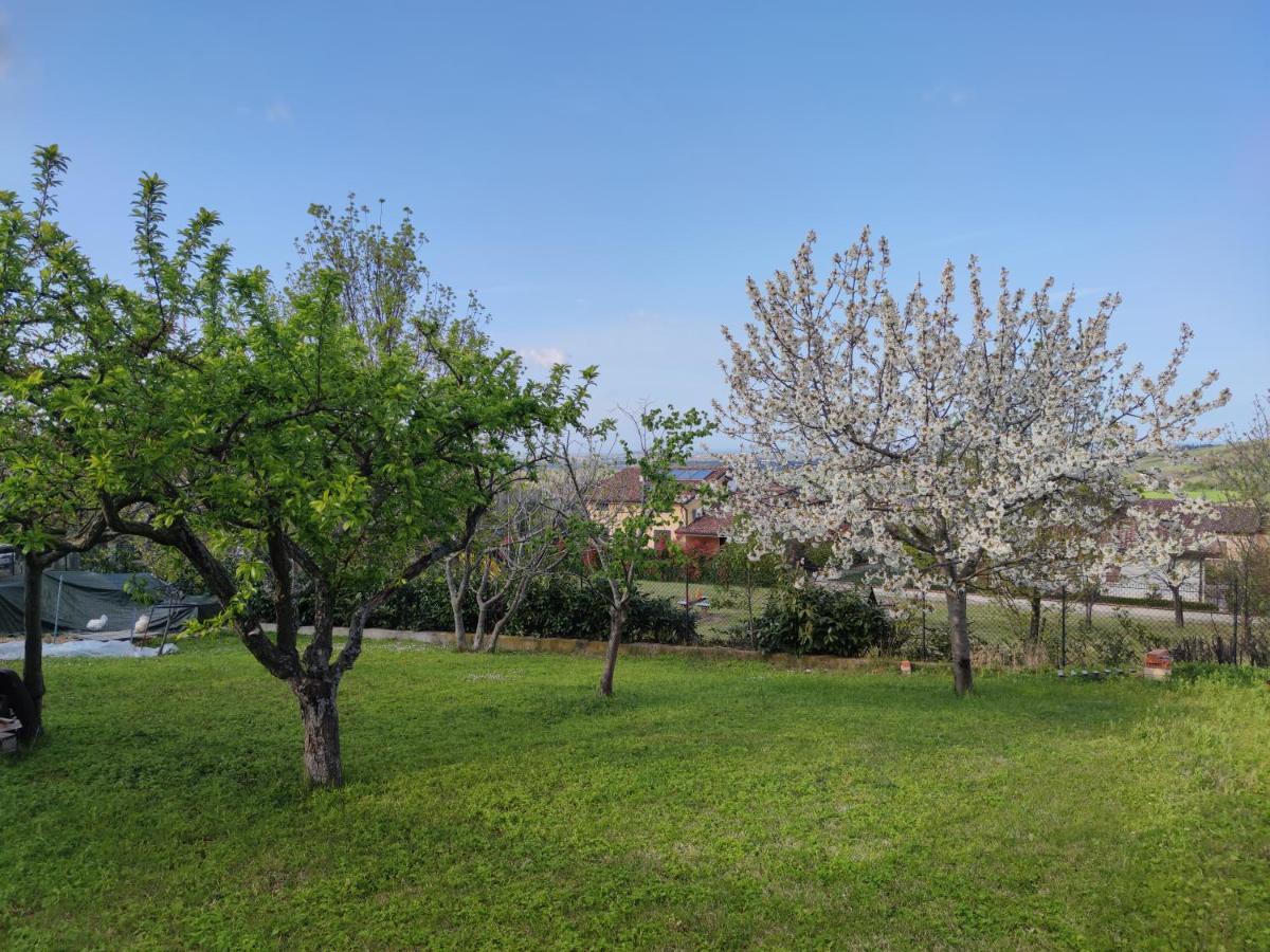 TorrianaRelax In Collina A Due Passi Dal Mareアパートメント エクステリア 写真